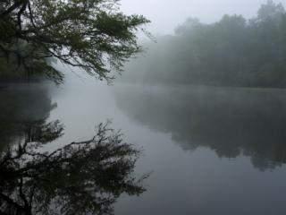 the edisto river friends of the edisto