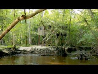 Embedded thumbnail for You&amp;#039;ll Need a Canoe to Get to This Treehouse  - by Animal Planet