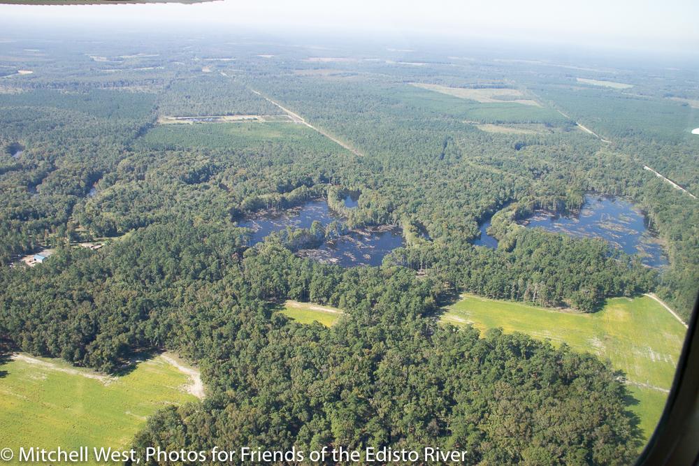 2015 Edisto River Flooding | Friends of the Edisto